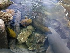 -鸿通城购物中心