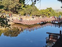 -北京西山国家森林公园