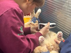 -伟伟宠物医院·CT影像中心·瑞派犬猫综合性门诊(汉口总院)