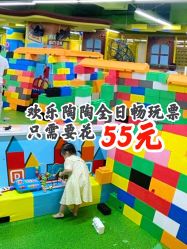 -欢乐陶陶儿童主题乐园(龙岗店)