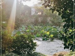 -中国茶叶博物馆(双峰馆区)
