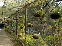 -北海金海湾红树林生态旅游区