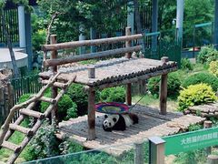 -大连森林动物园