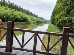 -黄海国家森林公园