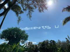 -奥兰多迪士尼动物王国乐园