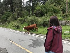 -硗碛藏寨·神木垒景区