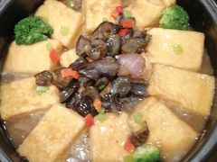 -金龙寨(龙城路店)
