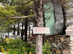 -白草畔自然风景区