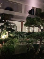 -托尼洛·兰博基尼书苑酒店·宴会厅