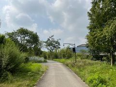 -白鹭湾湿地公园