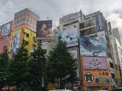 -秋叶原电器街