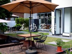 -龙坞茶村