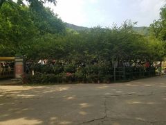 -木兰云雾山