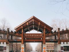 -野鸭湖国家湿地公园