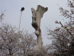 -武汉大学-樱园