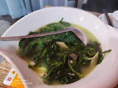 -东鸽皇(奥园·中环广场店)