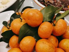 -骏莱海鲜鱼港(五角场店)