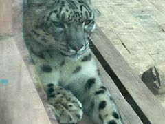 -青藏高原野生动物园