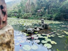 -亚龙湾热带天堂森林公园