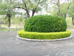 -北京小汤山医院体检中心