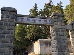 -泰山风景名胜区-普照寺