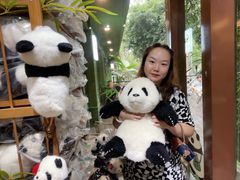 -轩客会(熊猫书店)