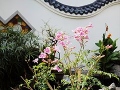 -欢姐伦教糕(北海大道北店)