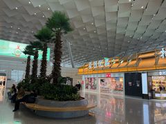 -郑州新郑国际机场-T2航站楼