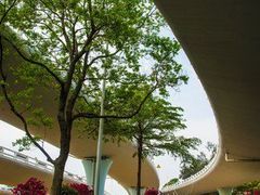 -黄金海岸环岛路