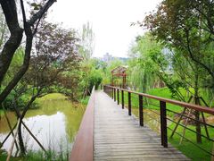 -沐仙湖湿地公园
