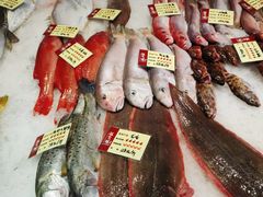 -胖大嫂渔家排档·全海景餐厅(渔村店)