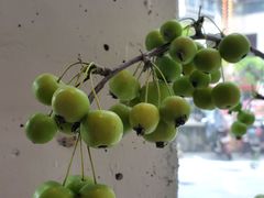 -Home Cafe(水榭春天店)