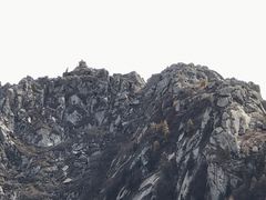 -芦芽山旅游度假区