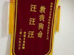 -美联众合动物医院(·中兽医·疑难杂症·严家桥分院)