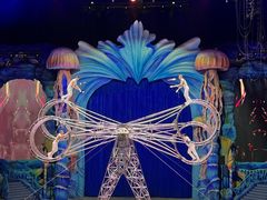 -海合安武汉极地海洋公园