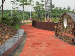 -王借岗森林公园