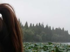 -荷塘月色湿地公园·向阳花洲