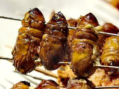 -老杨太太烧烤(文化广场店)