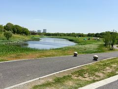 -苏州湾体育公园
