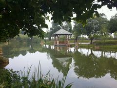 android_upload_pic-中旅阿那亚九龙湖·公主酒店