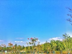 -上海长兴岛郊野公园