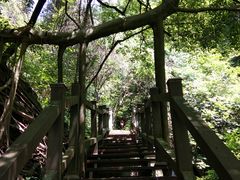 -羚羊峡古栈道森林公园