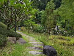 -云溪植物园