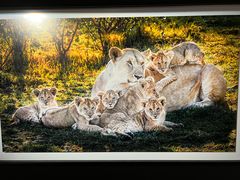 -罗红摄影艺术馆