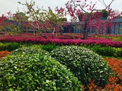 -中共上海市委党校 上海行政学院