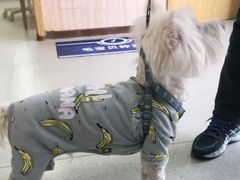 -宠颐生宠物医院·心肾内科·猫专科诊疗中心宠巢店