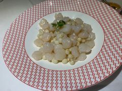 -圆苑(静安寺店)