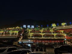 -枇杷园食为鲜火锅(南山店)