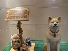 -大江户·温泉洗浴(浑南店)