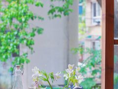 -嘁嘁茶泡饭